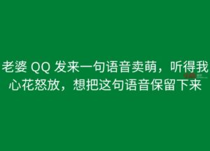 老婆 QQ 发来一句语音卖萌，听得我心花怒放，想把这句语音保留下来 9