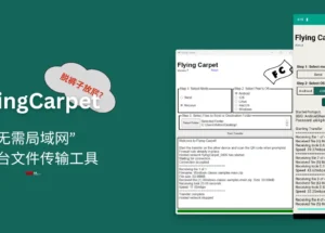 FlyingCarpet - 脱裤子放屁？不需要局域网、开源、跨平台文件传输工具 12