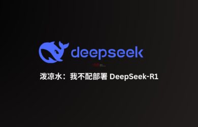 泼凉水：我不配部署 DeepSeek R1 20