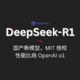 国产新模型 DeepSeek-R1 发布，MIT 授权，性能对标 OpenAI o1 正式版 5