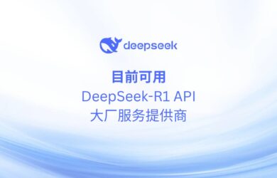 目前可用的 DeepSeek R1 模型 API 服务商(2025年2月) 10