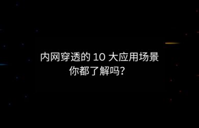 内网穿透的 10 大应用场景，你都了解吗？ 16