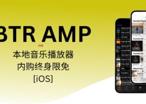 BTR AMP：本地音乐播放器，Pro 内购终身限免[iOS] 12