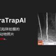 CameraTrapAI - 识别相机陷阱拍摄的野生动物照片的 AI 模型 5