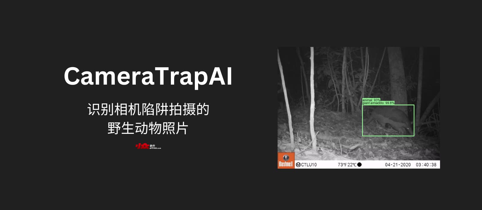 CameraTrapAI - 识别相机陷阱拍摄的野生动物照片的 AI 模型 1