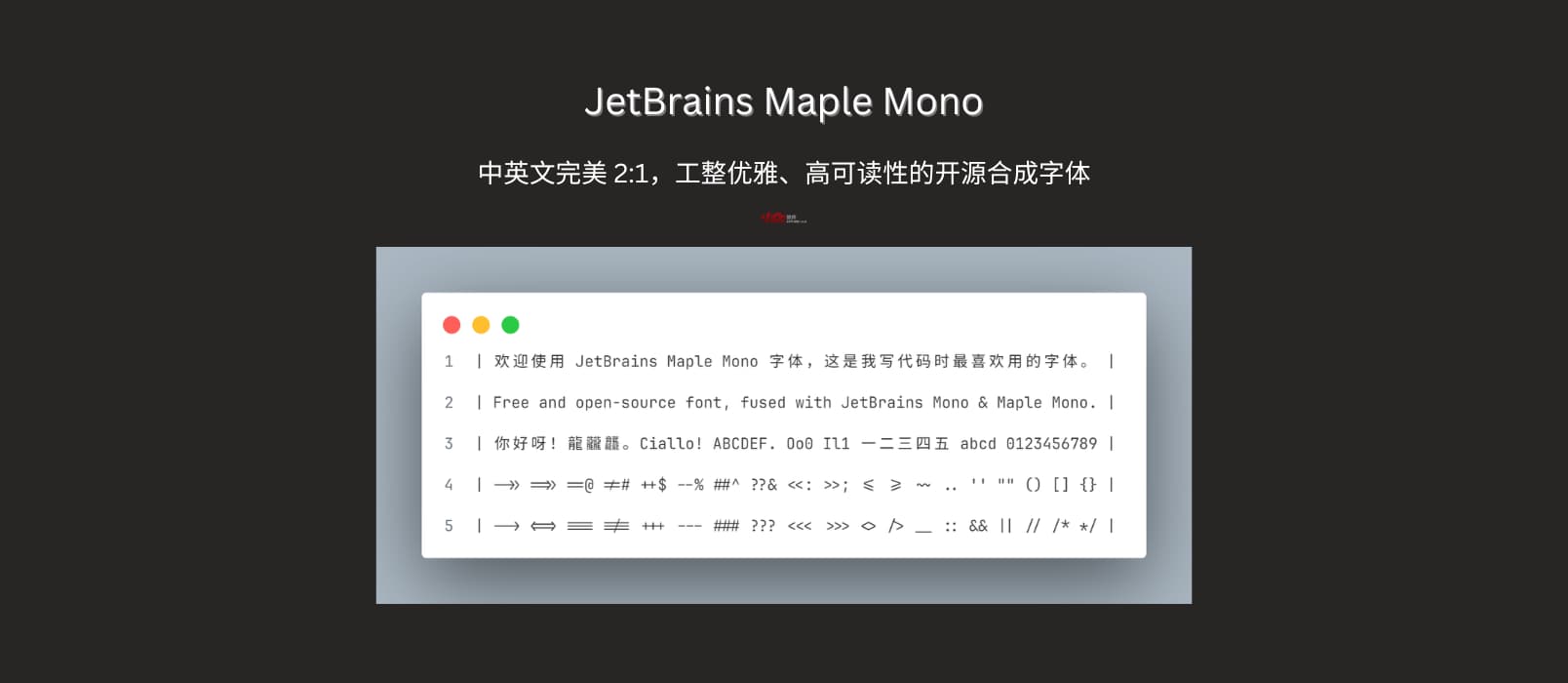 中英文完美 2:1，JetBrains Maple Mono：一款工整优雅、高可读性的开源合成字体 1